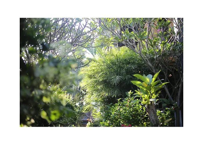 In Da Garden ホームステイ *